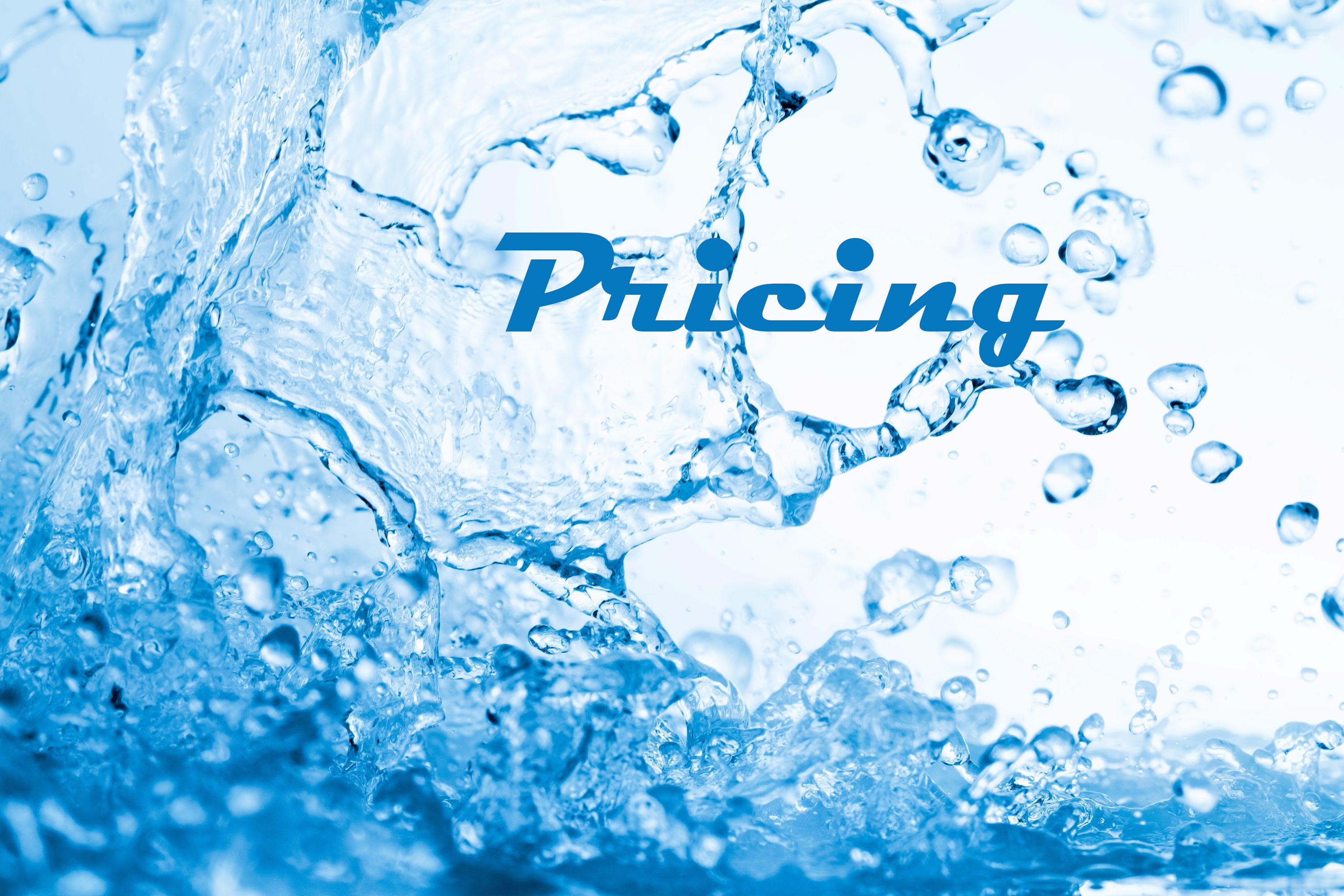 Pricing Splash Shutterstock 2666685675